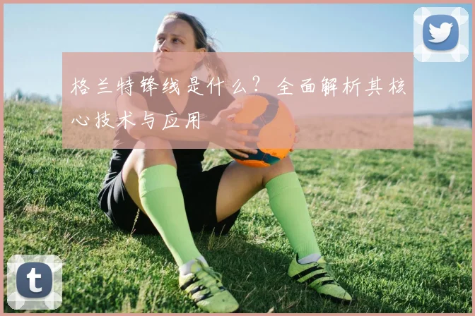 格兰特锋线是什么？全面解析其核心技术与应用