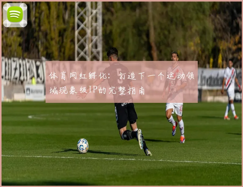 体育网红孵化：打造下一个运动领域现象级IP的完整指南
