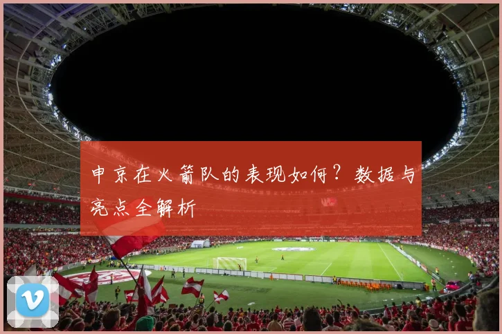 申京在火箭队的表现如何?数据与亮点全解析