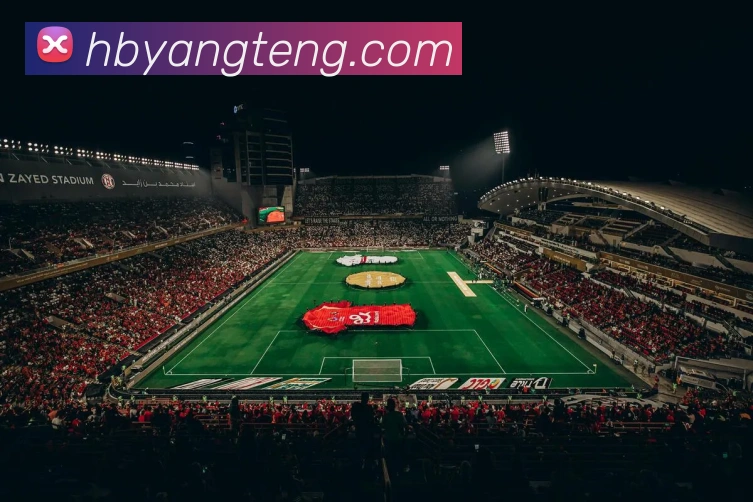 爱游戏体育官方网站APP 封面图